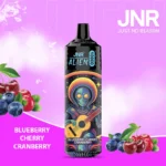 JNR Alien 10k Puffs Nicotine Content 10000 Prix