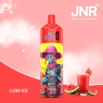 JNR Alien 10k Puffs Nicotine Content 10000 Prix
