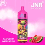 JNR Alien 10k Puffs Nicotine Content 10000 Prix