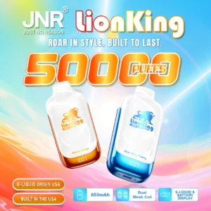 JNR LionKing 42k Puffs Vapes 42000 France