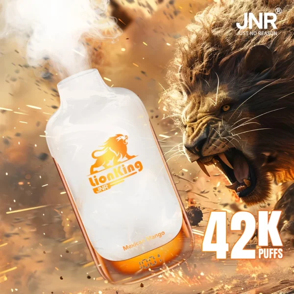 JNR LionKing 42k Puffs Vapes 42000 France