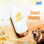 JNR LionKing 42k Puffs Vapes 42000 France